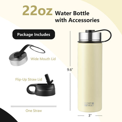 22 Oz Insulated Stainless Steel Water Bottle | 2 Lids & Straw | 7 Colors - Niksstuff