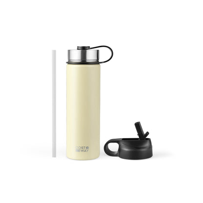 22 Oz Insulated Stainless Steel Water Bottle | 2 Lids & Straw | 7 Colors - Niksstuff