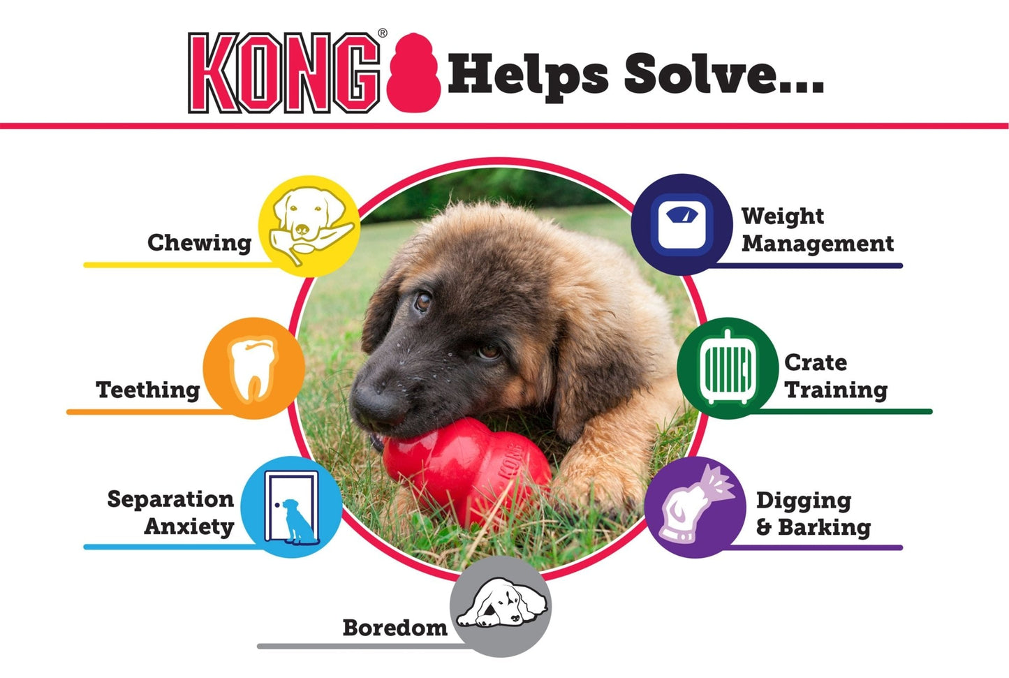 KONG Classic Dog Toy - Niksstuff