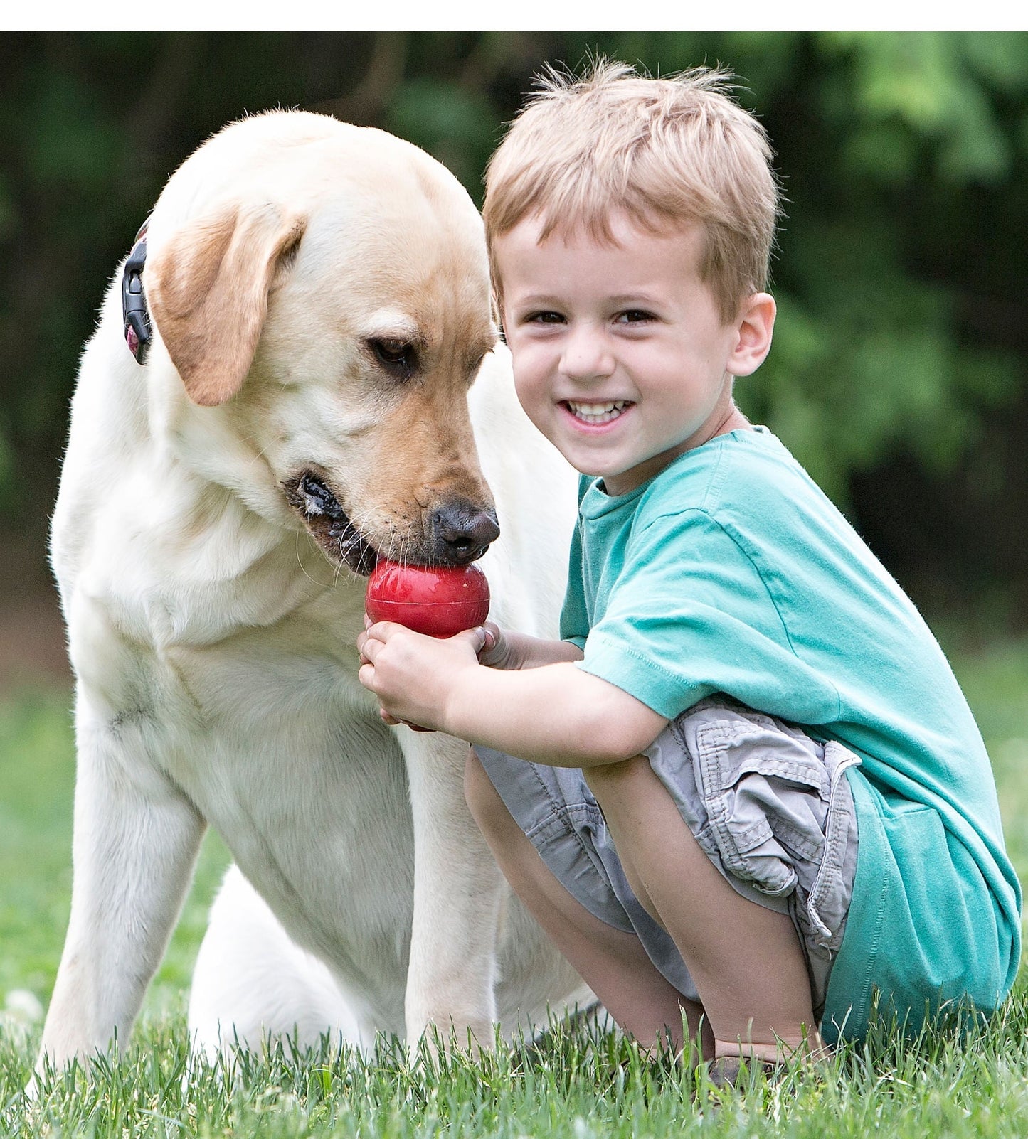 KONG Classic Dog Toy - Niksstuff