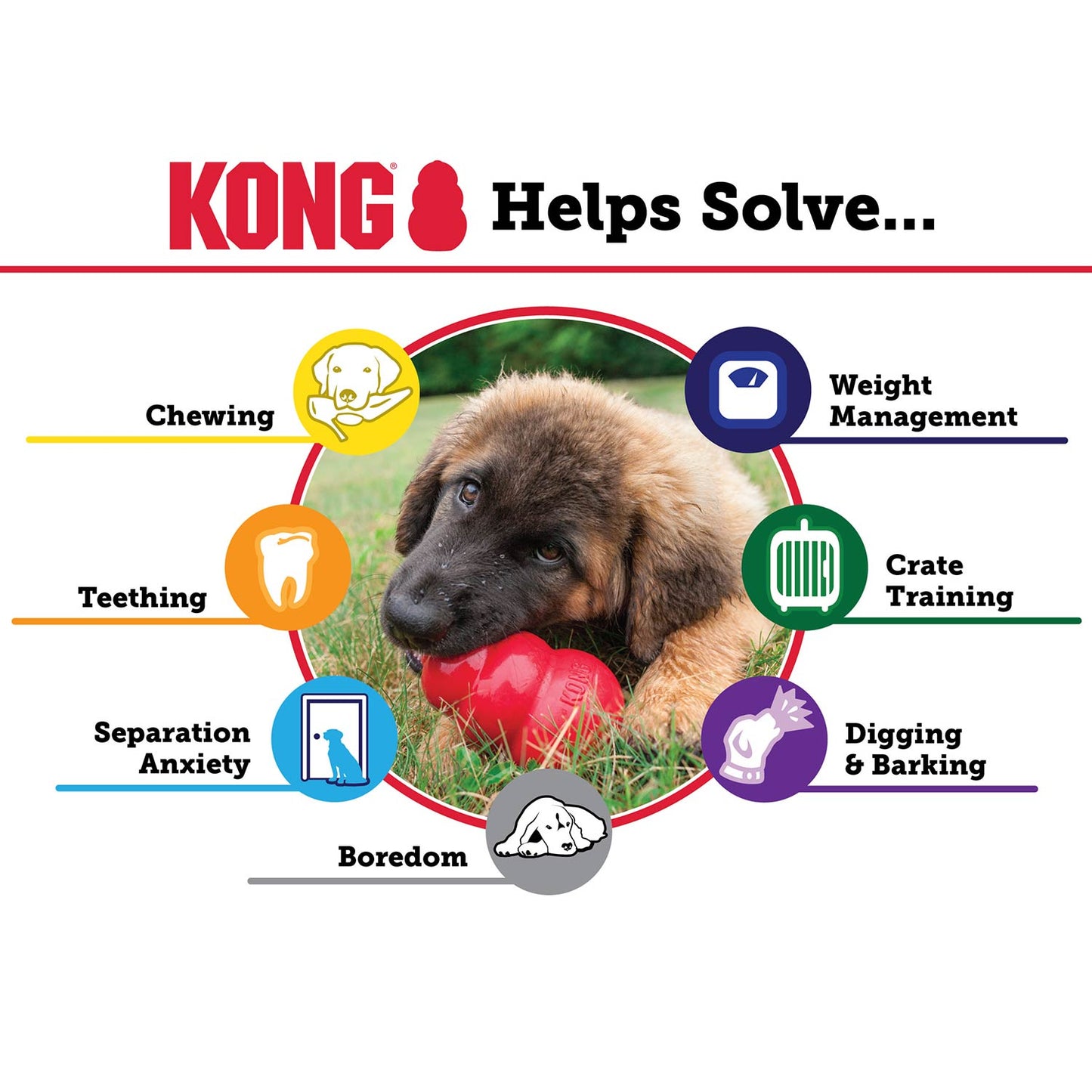 KONG Classic Dog Toy - Niksstuff
