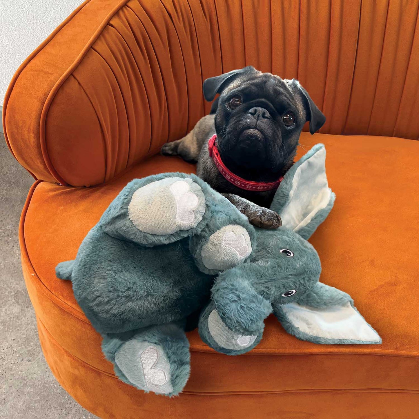KONG Comfort Kiddos Jumbo Elephant Plush Dog Toy – XLarge | Removable Squeaker
