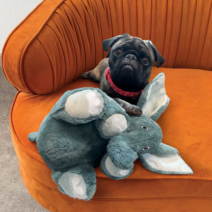 KONG Comfort Kiddos Jumbo Elephant Plush Dog Toy – XLarge | Removable Squeaker