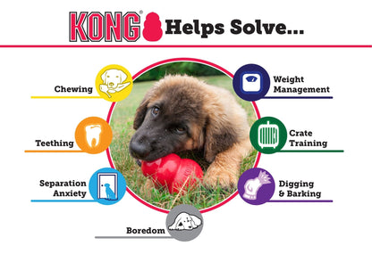 KONG Extreme Dog Toy for Power Chewers - Niksstuff