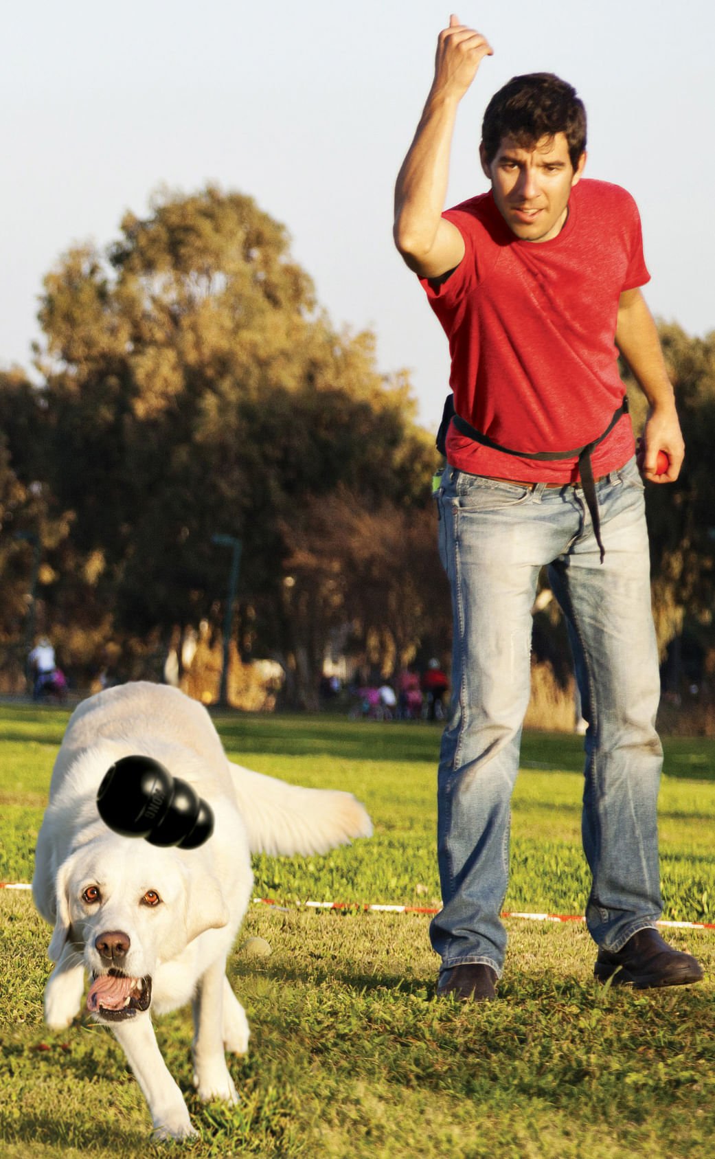 KONG Extreme Dog Toy for Power Chewers - Niksstuff