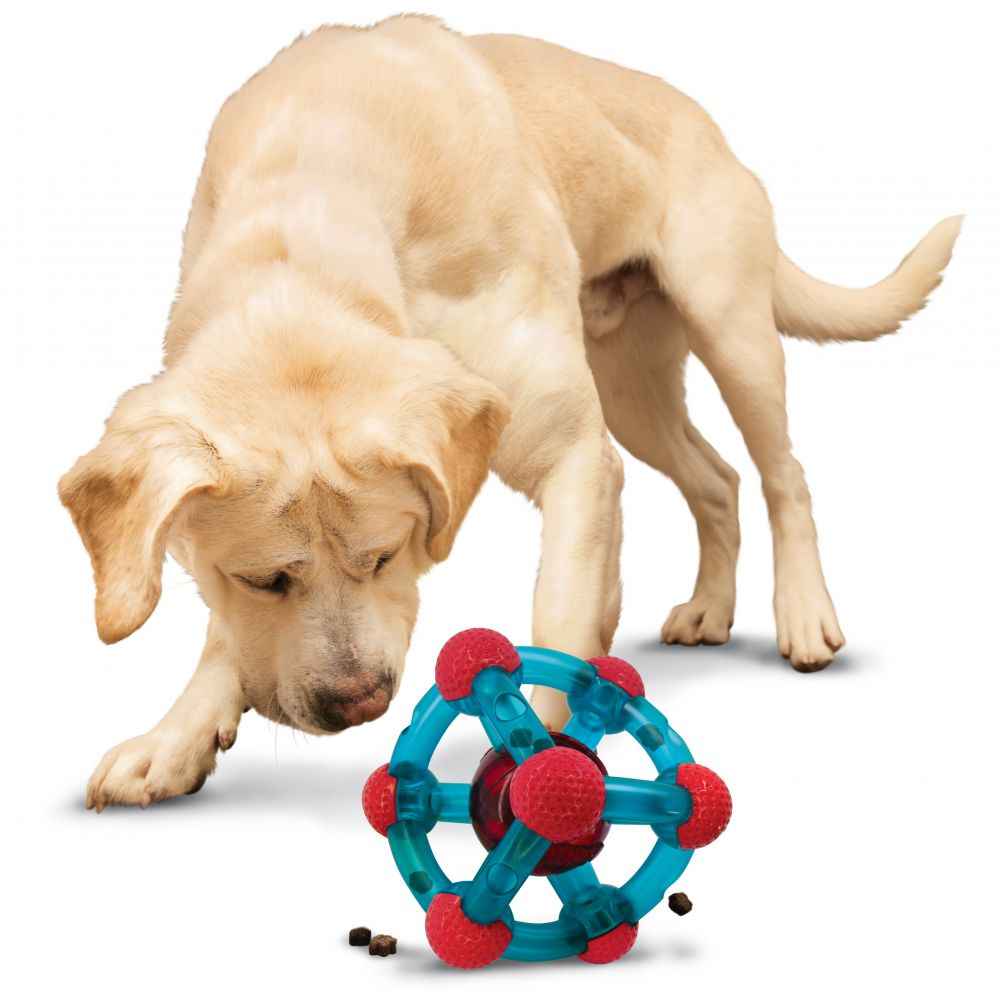 KONG Rewards Tinker Treat Dispensing Dog Toy | Medium/Large | 6-Opening | Red/Blue