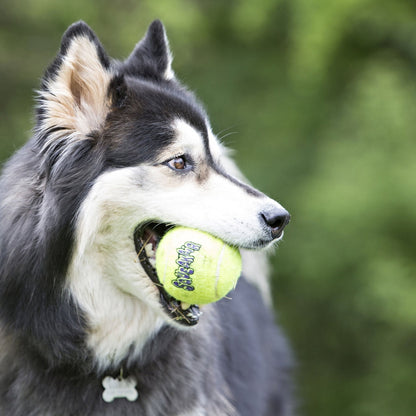 KONG SqueakAir Ball | Durable Squeaker Tennis Ball Dog Toy | Small, Medium, or Large | 2 or 3 Pack - Niksstuff