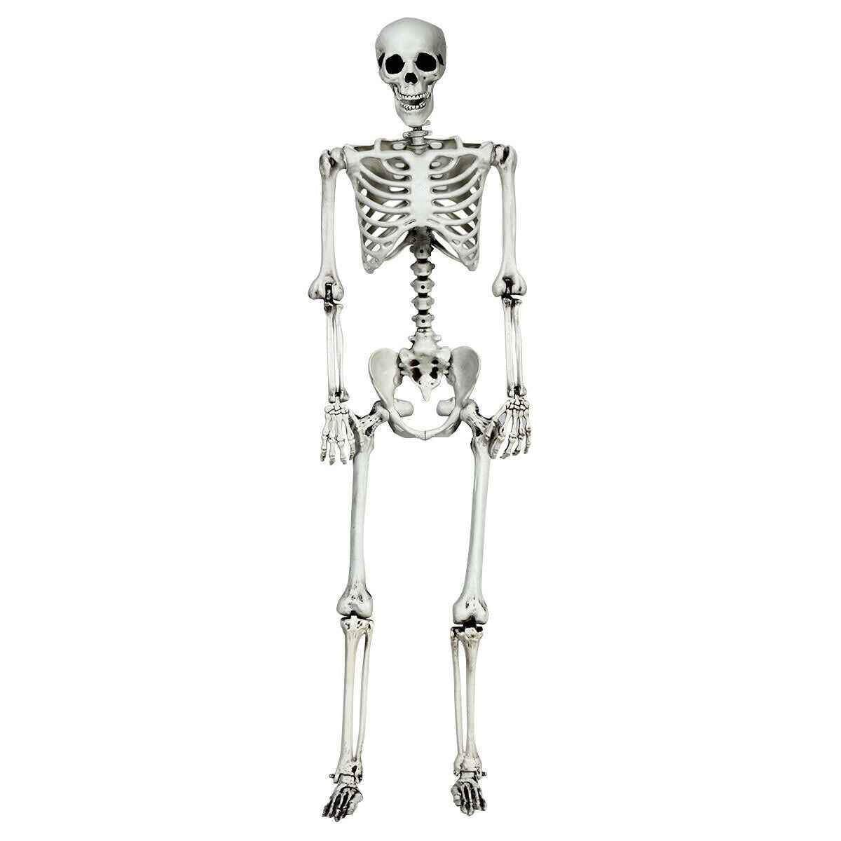 5.4 FT Life-Size Halloween Skeleton – Full Body Hanging with Movable Joints