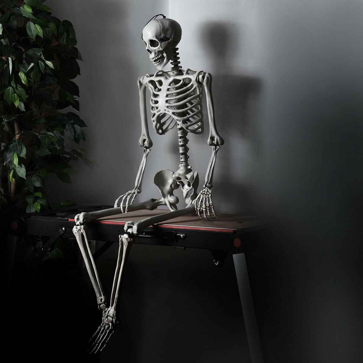 5.4 FT Life-Size Halloween Skeleton – Full Body Hanging with Movable Joints