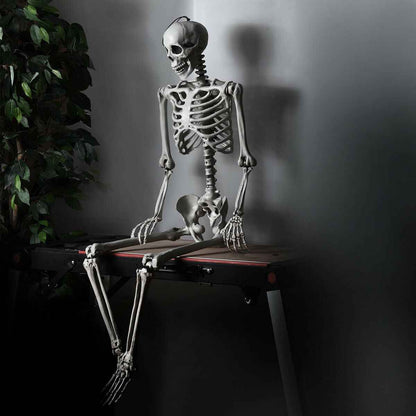 5.4 FT Life-Size Halloween Skeleton – Full Body Hanging with Movable Joints