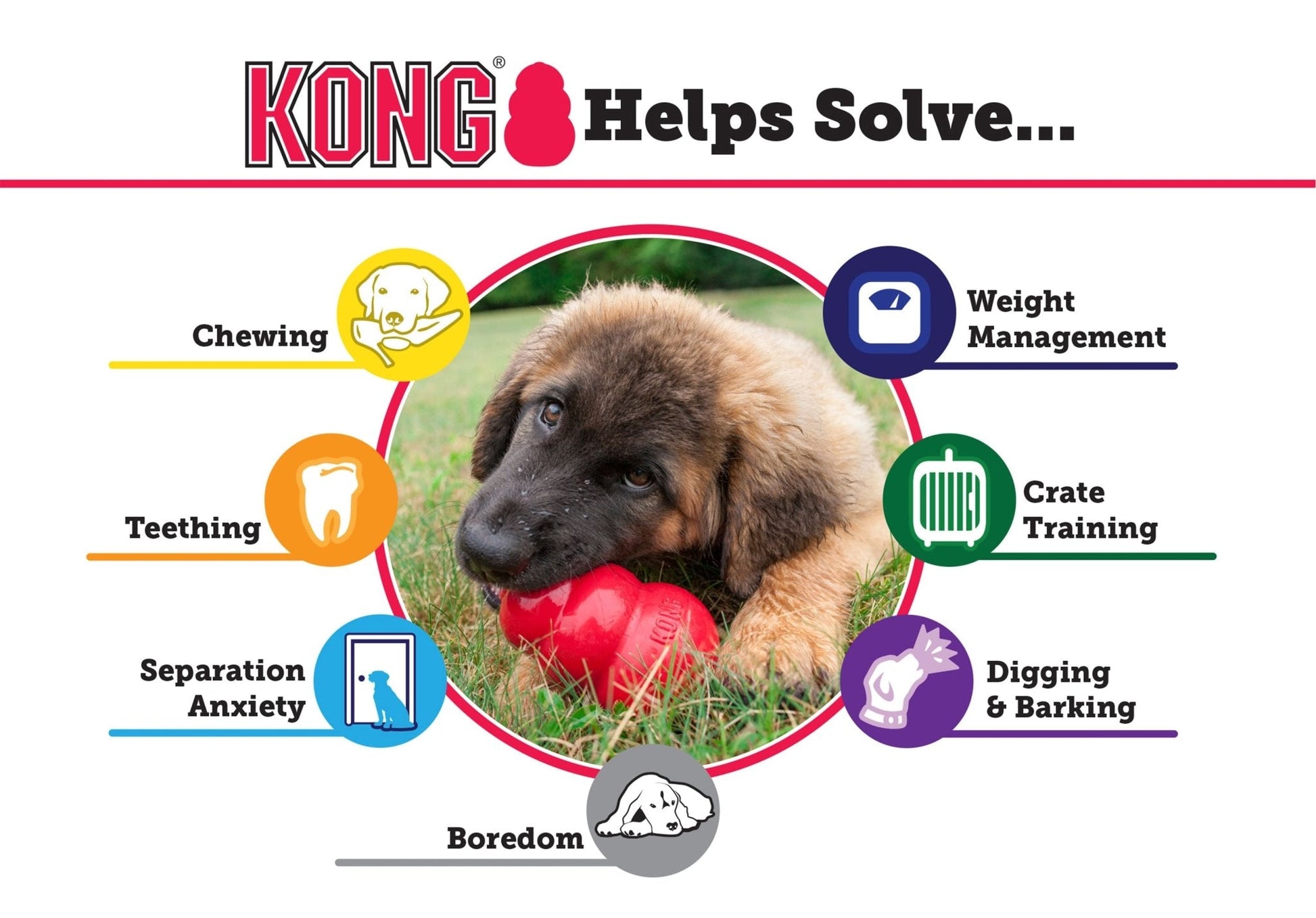 Puppy KONG Teething & Chew Dog Toy - Niksstuff