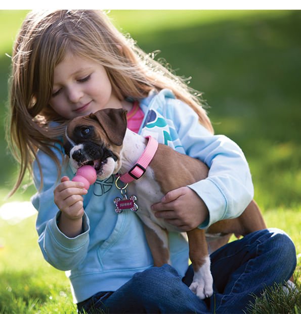 Puppy KONG Teething & Chew Dog Toy - Niksstuff