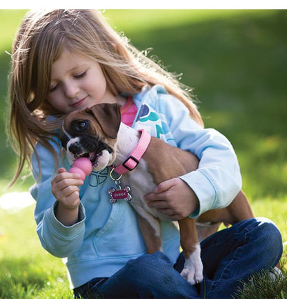 Puppy KONG Teething & Chew Dog Toy - Niksstuff