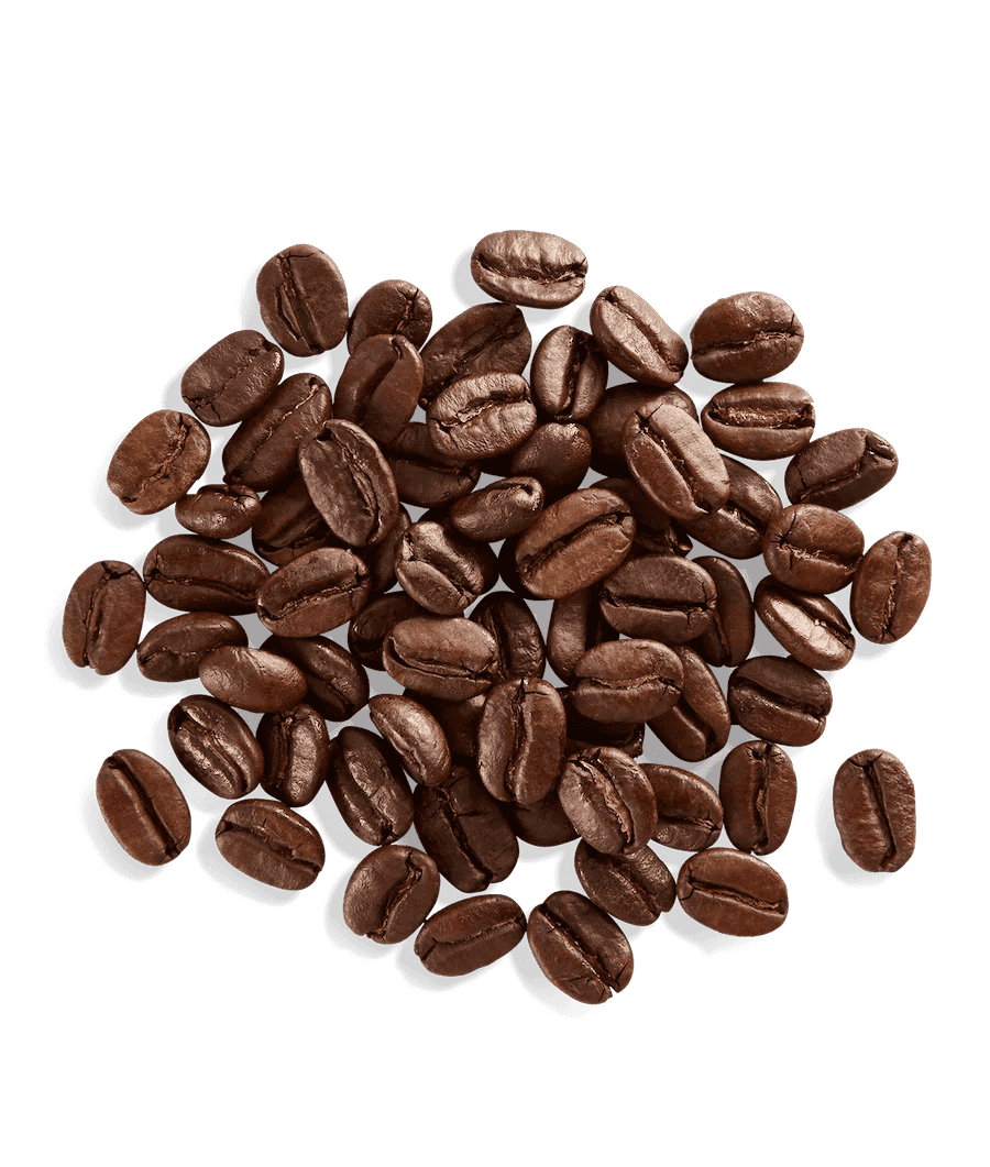Iron Bean Coffee Rage Against the Dying of the Light Medium Roast