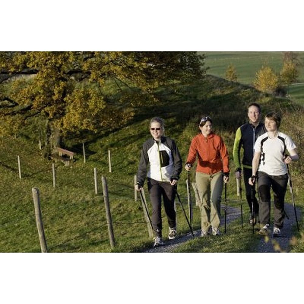 York Nordic Casual Trek Hiking & Walking Poles – Trek Grip with Flip Locks