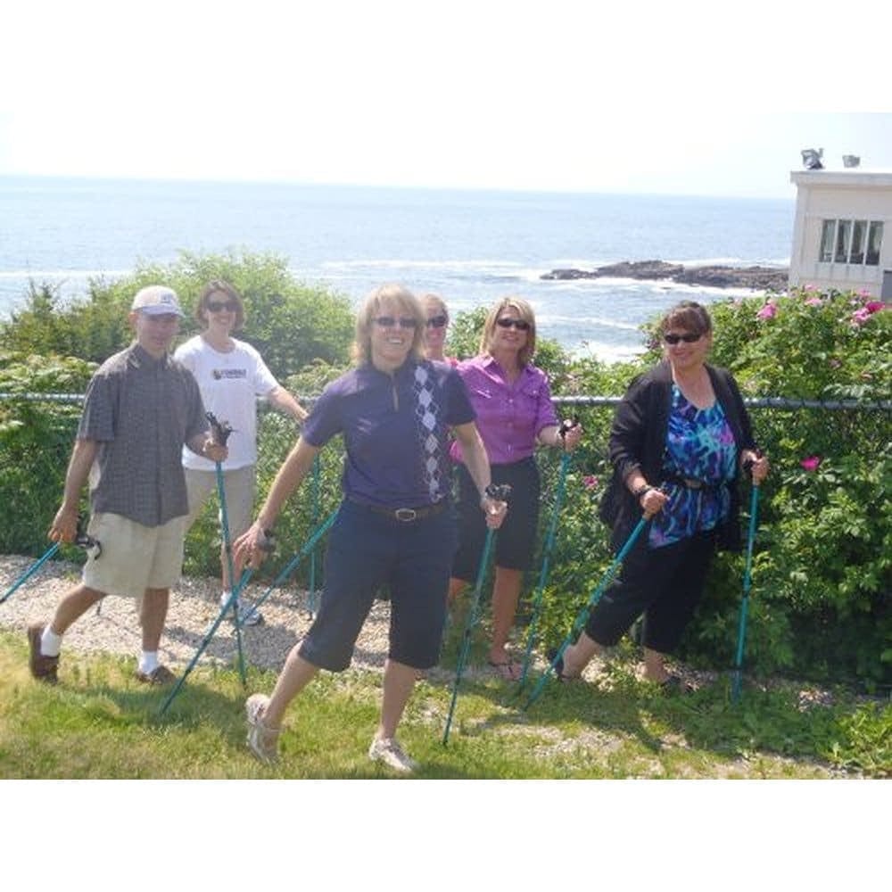 York Nordic Official Walking Poles | True Nordic Glove Grip | 29 Designs | Up to 6'4" - Niksstuff
