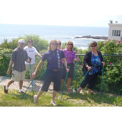 York Nordic Official Walking Poles | True Nordic Glove Grip | 29 Designs | Up to 6'4" - Niksstuff